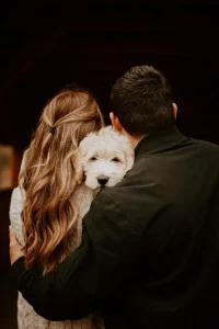 noivos com cachorro no making of do casamento