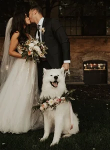casal com animal de estimação na cerimônia de casamento