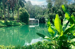 natureza em resort no Inhotim