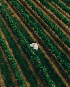 Destination wedding na Vinícola Trindade a 7km de Tiradentes Minas Gerais