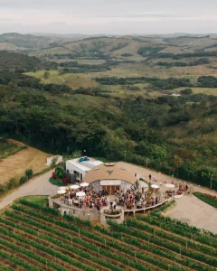 Vinhedo com uvas Sauvignon Blanc e Syrah para casamento em Minas Gerais