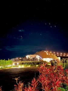 Assessoria de casamento em Bichinho Prados MG com Ju Ventura